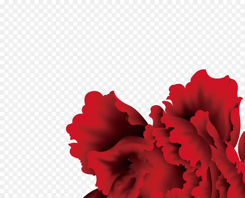 �����ʻ�-������