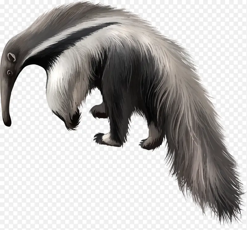 ʸ����ʳ����-������