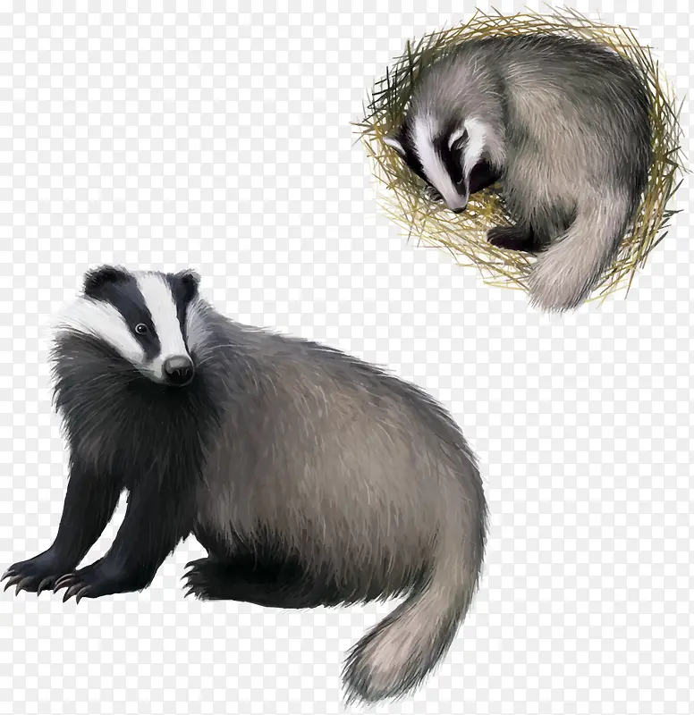 ʸ��ʳ����-������