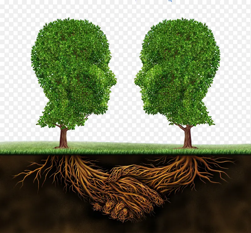 ���Գ�����ͼƬ-������