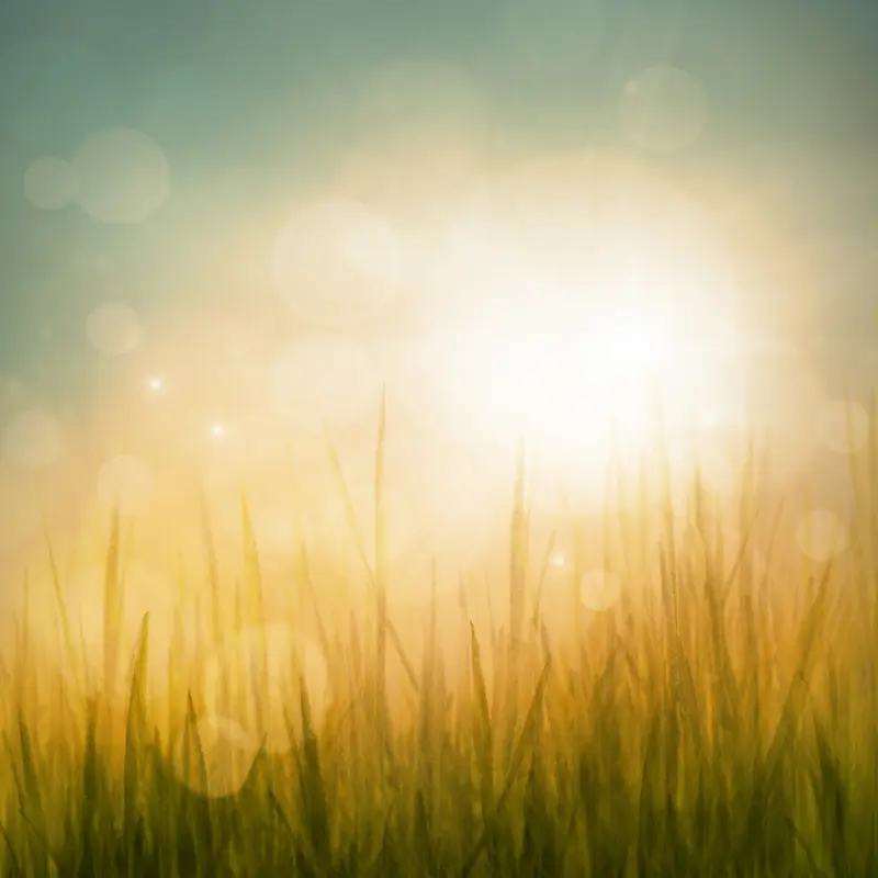 �λ�����ݵر���-������