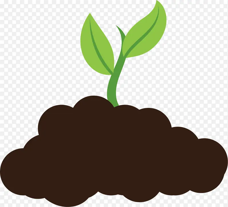 ����ɫ������������-������