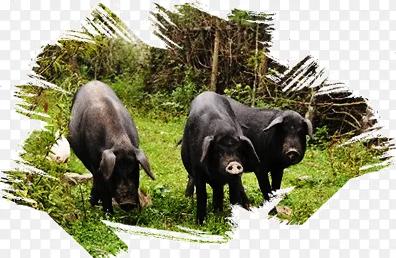 Ұ�����ʱ߿�-������