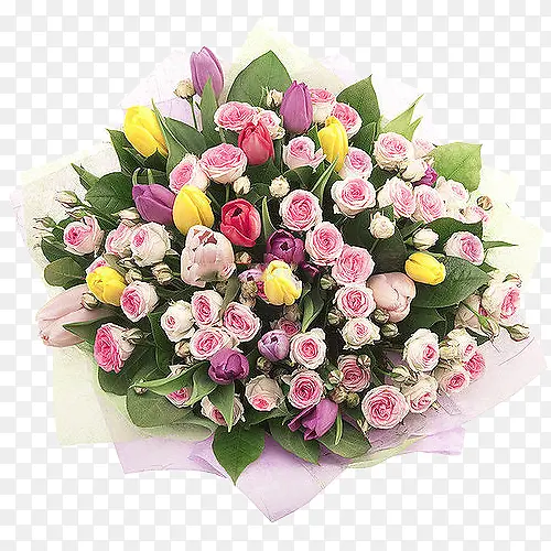 һ�ذ�ɫõ�廨-������