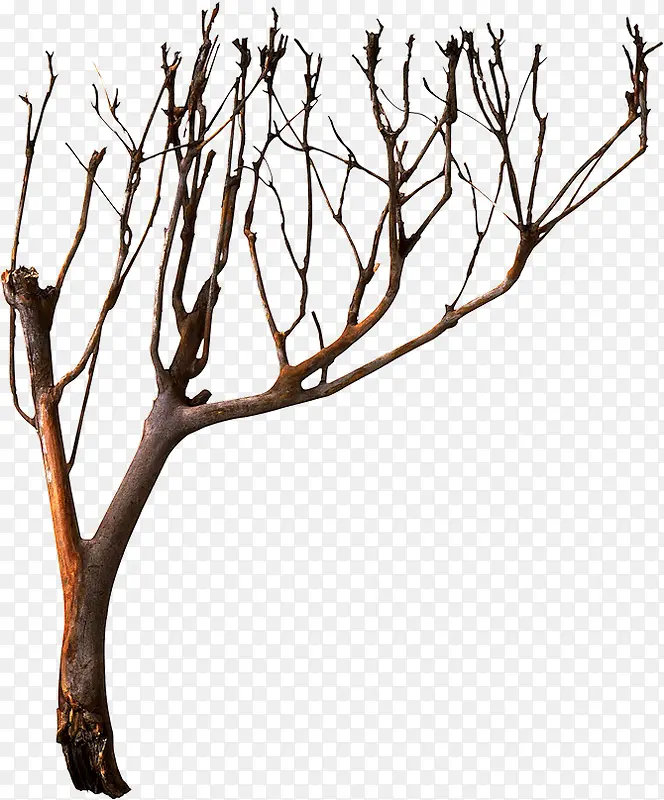 �����ز�-������