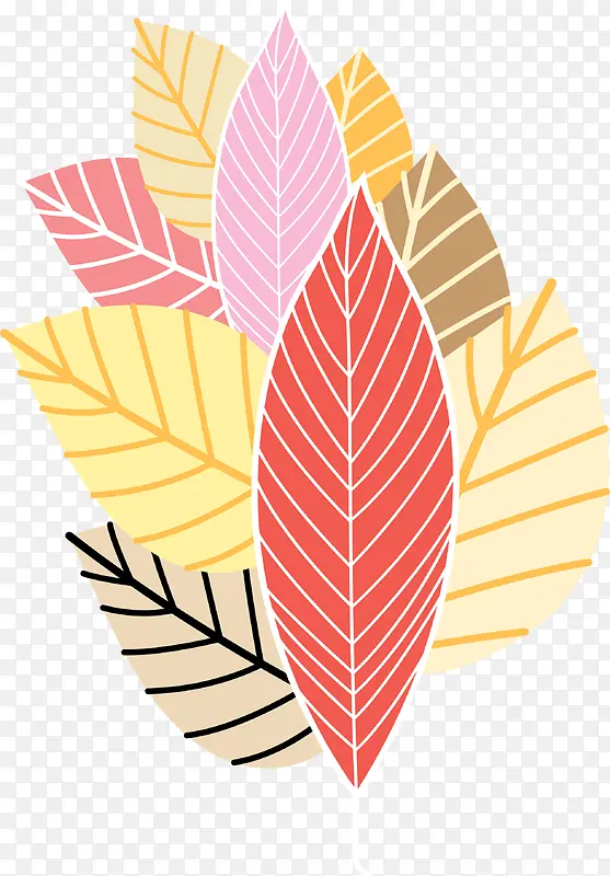 ��ͨ���Ҷ��-������