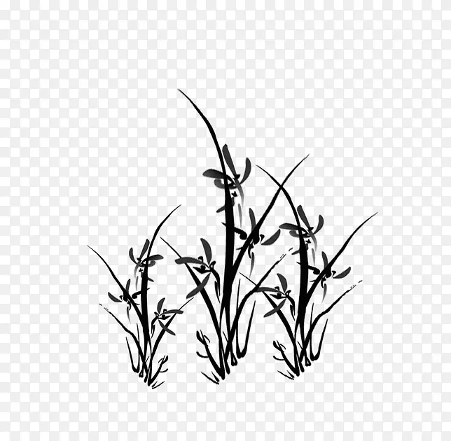 ˮīˮ��-������