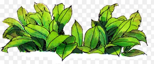 �������������ֻ���ɫ��Ҷ-������