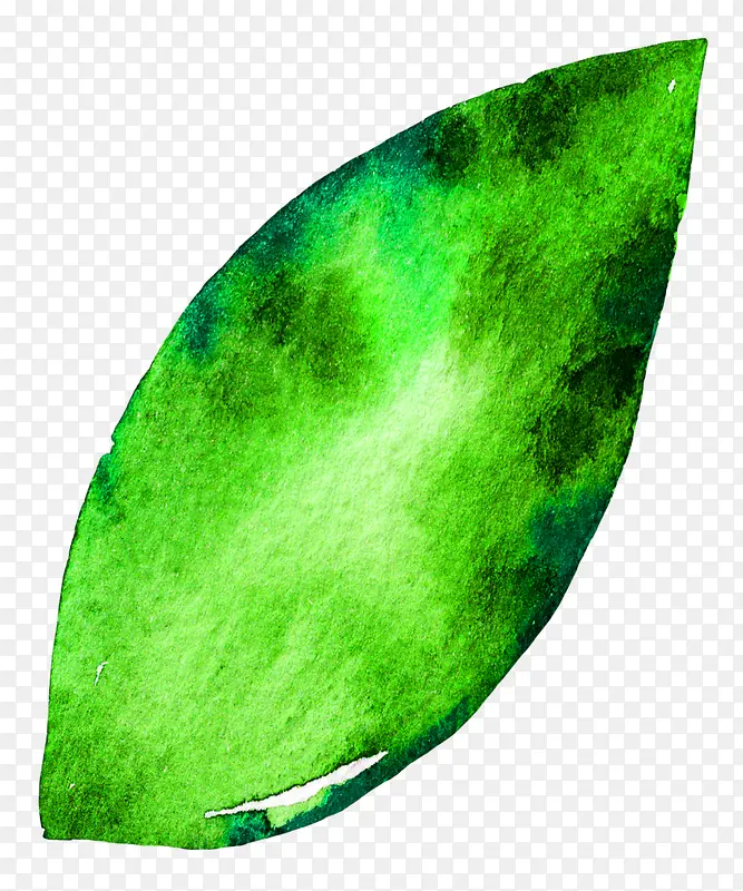 �ֻ�ˮ��Ҷ��-������