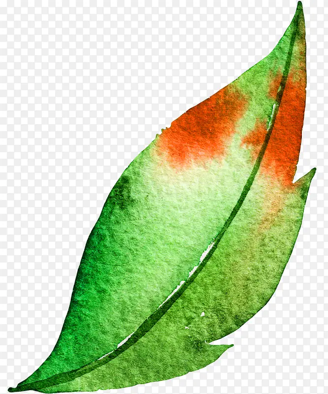 ˮ����Ҷ-������