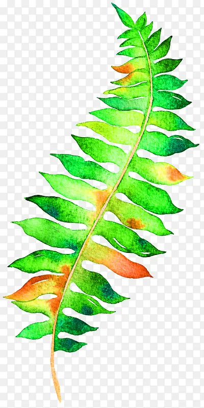 װ��Ҷ�Ӳ廭-������