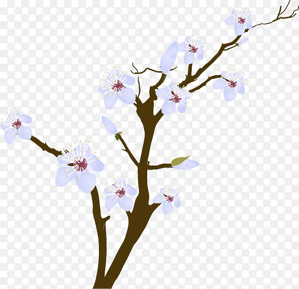 ʸ����ɫ��������֦-������