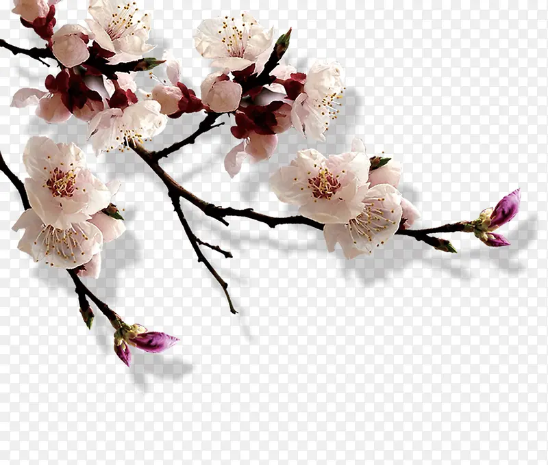 һ������-������