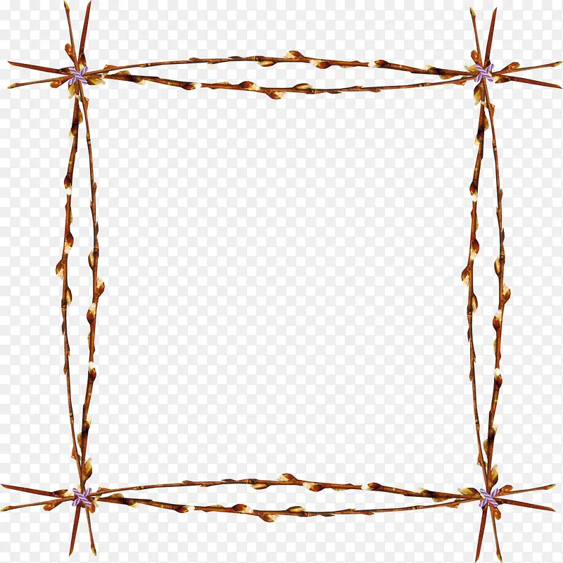 ��֦��-������