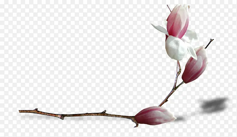 ����-������