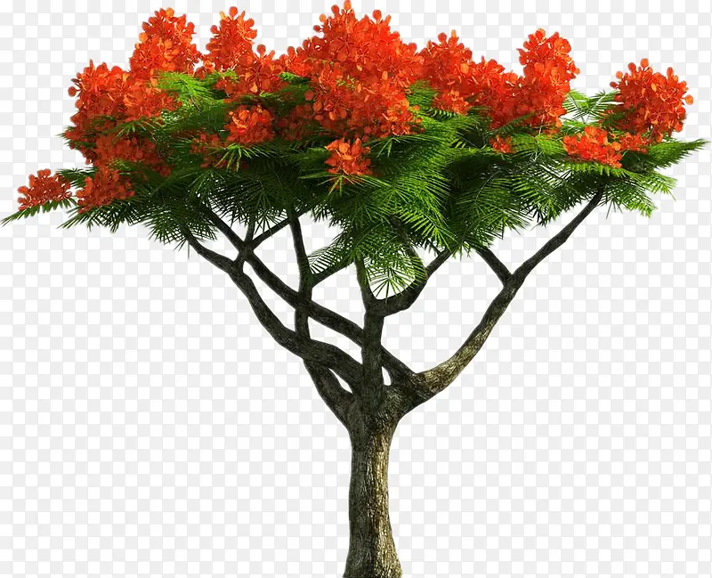 ���컨����-������