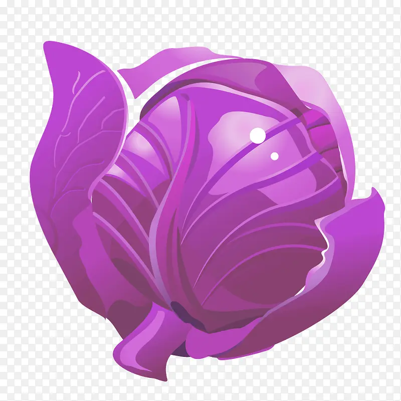 ��ɫ�߲˰���ʳ��-������