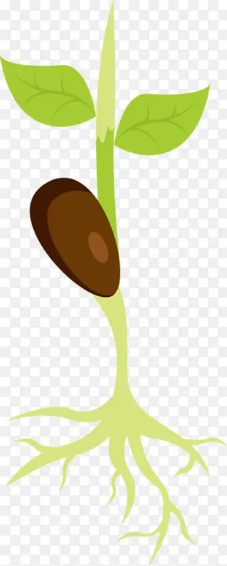 ��ɫ�������Ӳ���-������