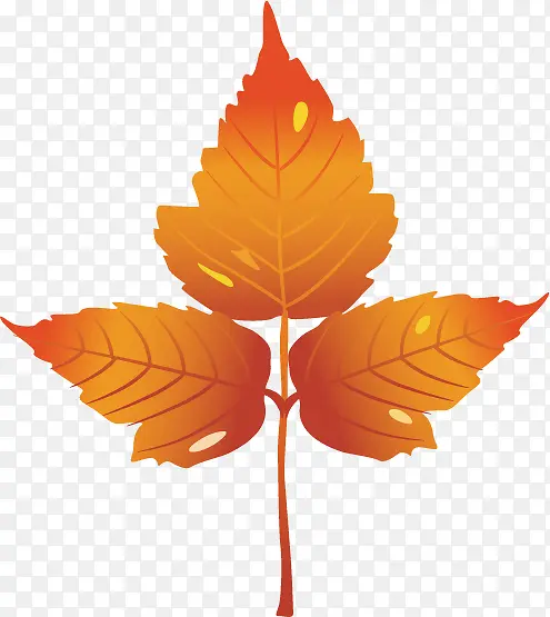 �����Ҷ��ʸ�����Ч���ز�-������