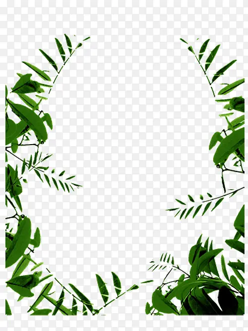 ֲ��߿�-������