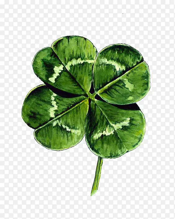 ��Ҷ��-������