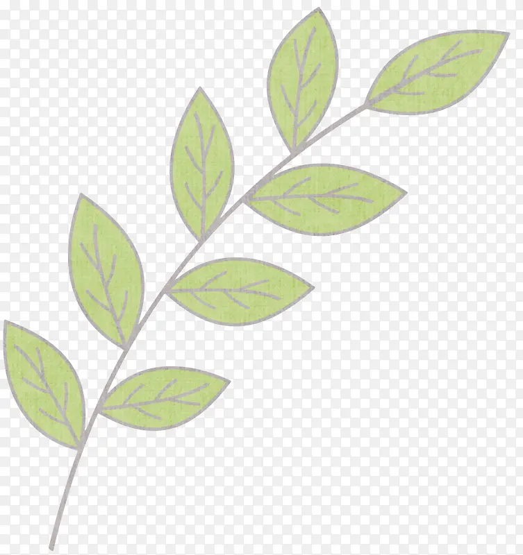 ֦Ҷ-������