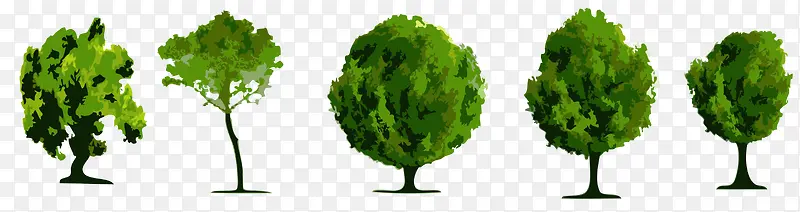 �ܶ���ľ-������