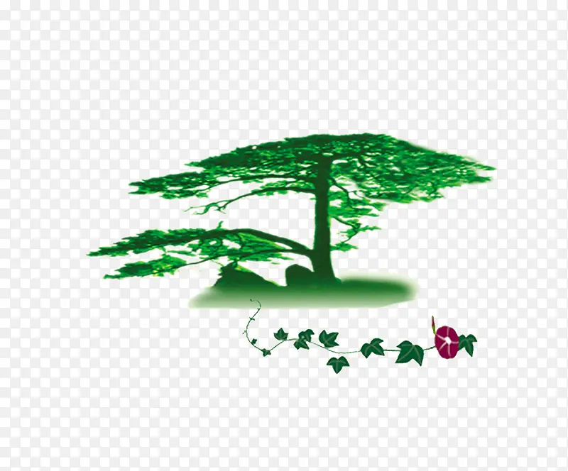 ���������ǣţ��-������