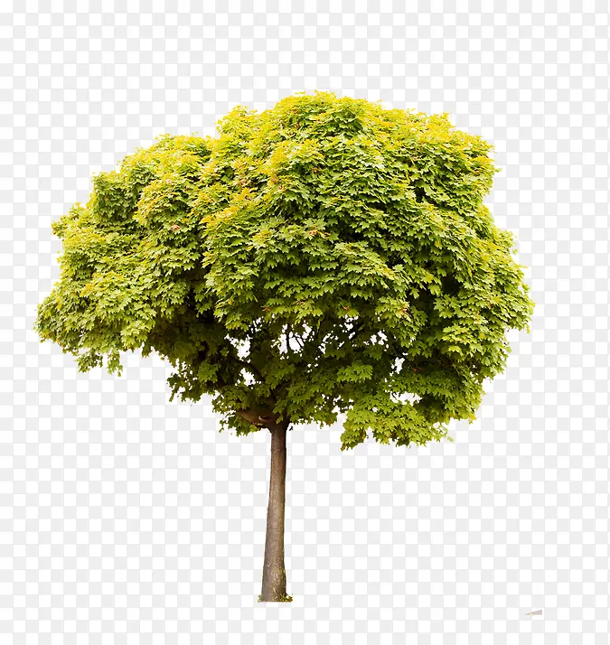 ��-������