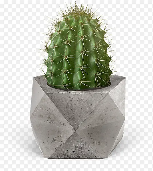 ˮ��������-������