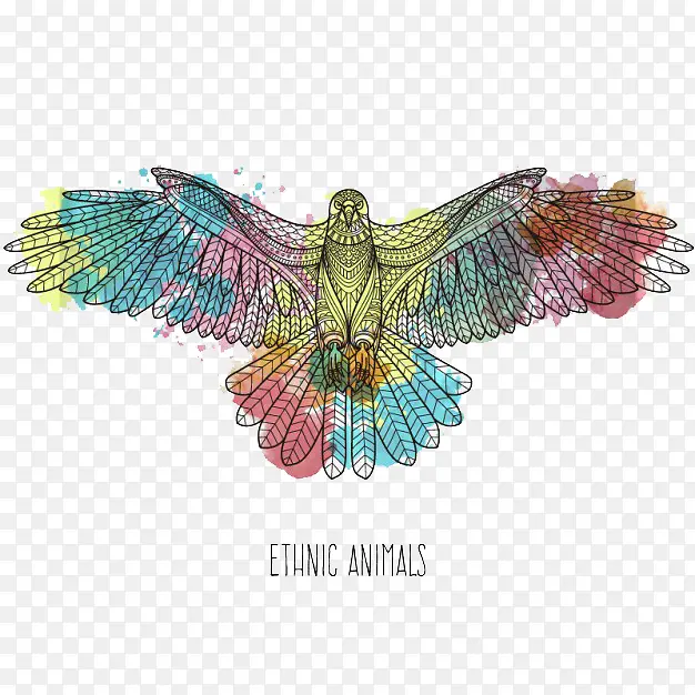 ��ɫ��ӥ-������