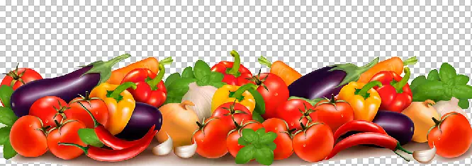 ��ɫ�л�ʳ���߲�-������