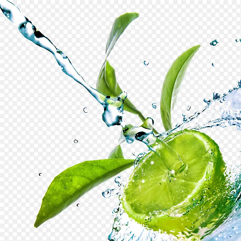 ��ɫˮ��ˮ��-������