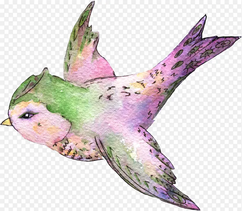 �����С��-������