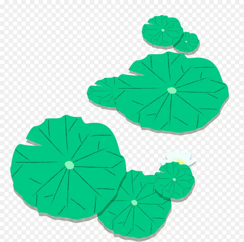 ��ͨ�ֻ����ĺ�Ҷ�ɻ�-������