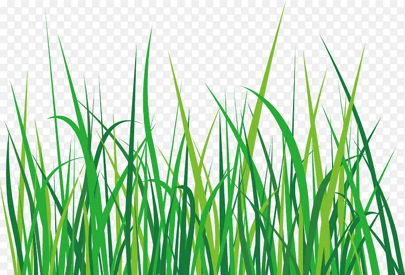 С��װ�μٻ��ٲ�-������