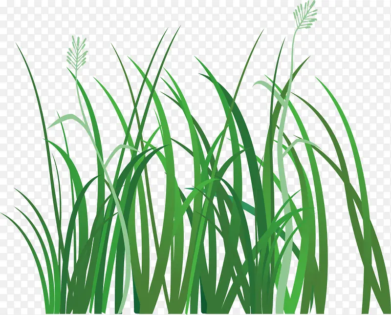 С��װ�μٻ��ٲ�-������