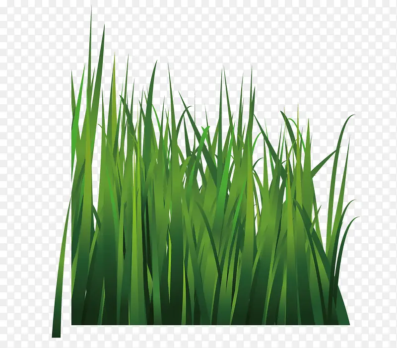 С�ݽ���װ�μٲ�-������