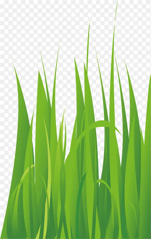 ���װ�μٻ��ٲ�-������