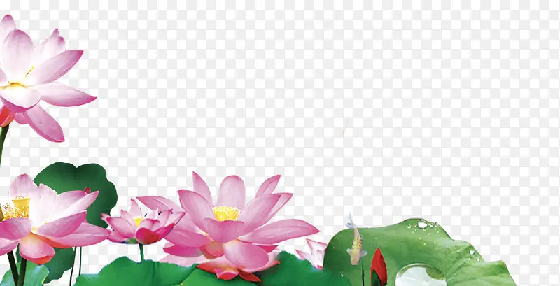 ��ͨ�ֻ����ĺ�Ҷ�ɻ�-������