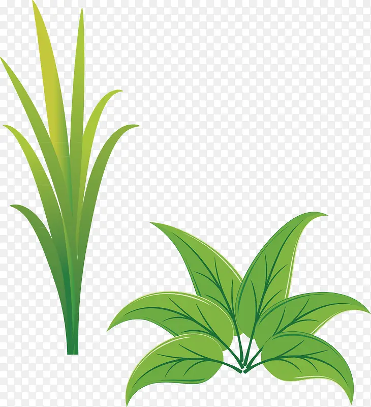 һ��С�ݿ�ͨС�ݷָ���-������