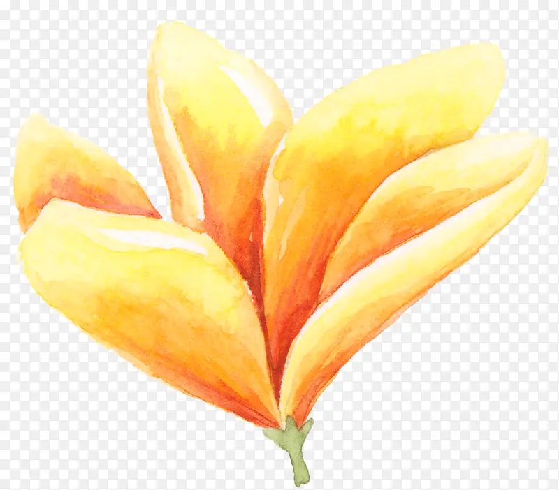 ˮ�ʻ�-������