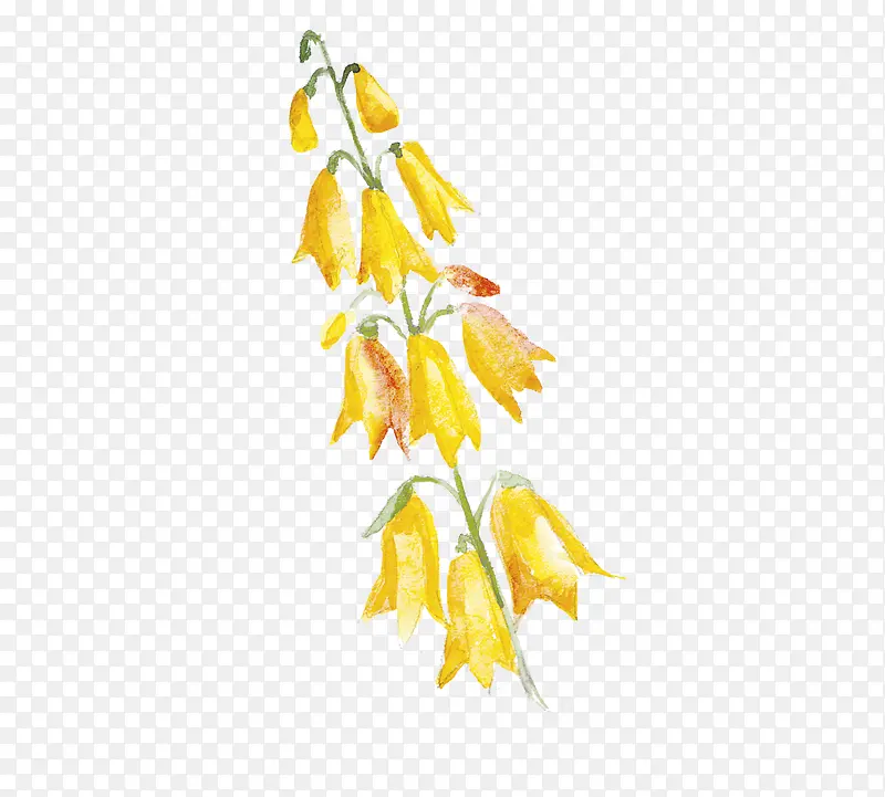 ˮ�ʻ�-������