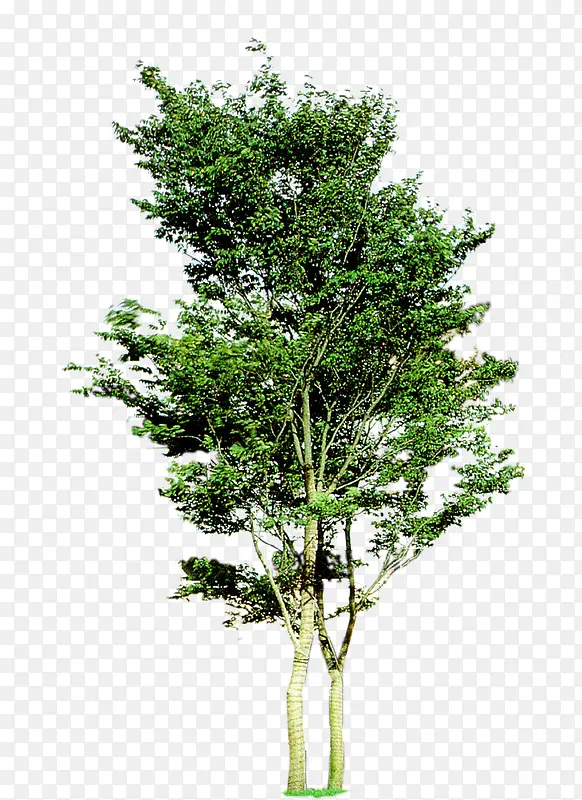 �����������۳���-������