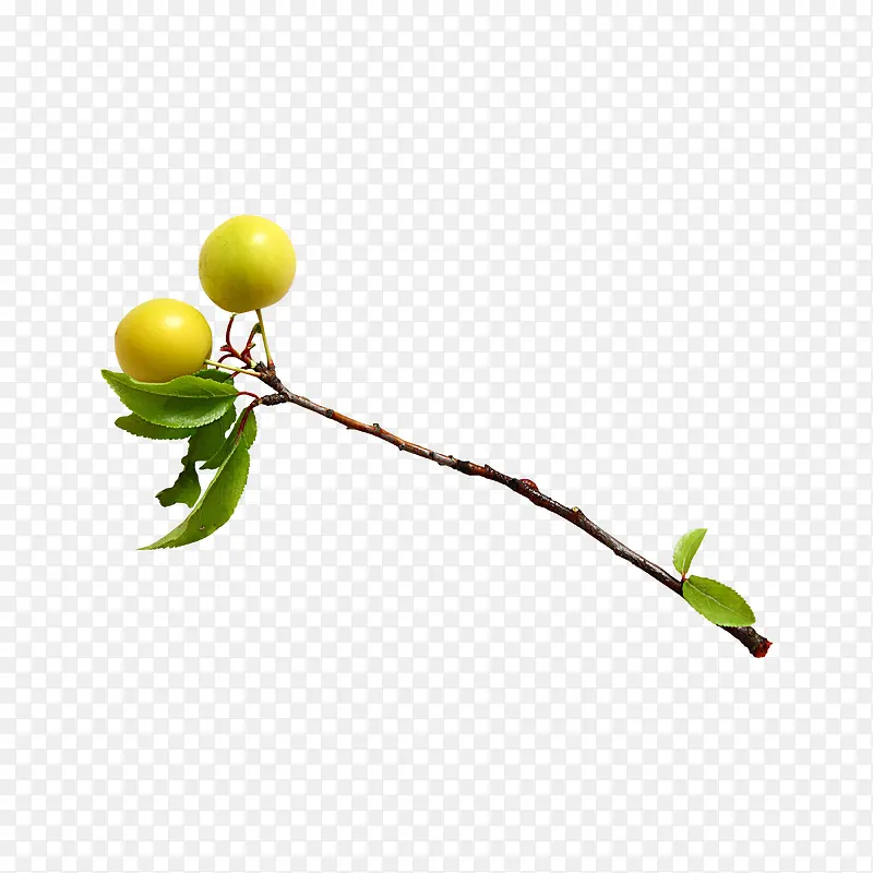 ƻ��-������