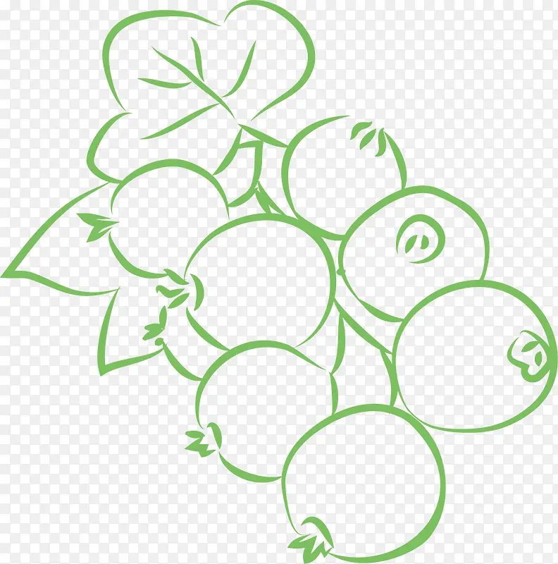 Ҷ��ˮ��-������