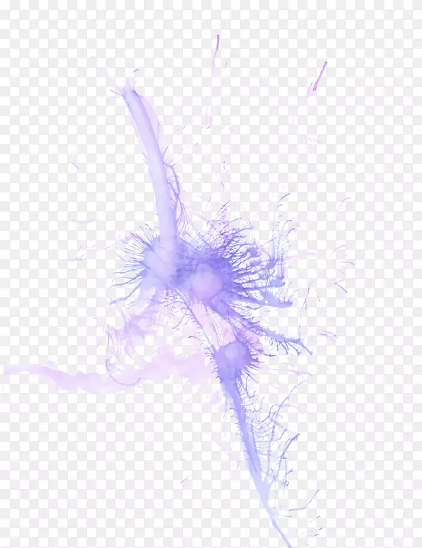 ֽˮ�ʻ�����ˮ�ʻ�-������