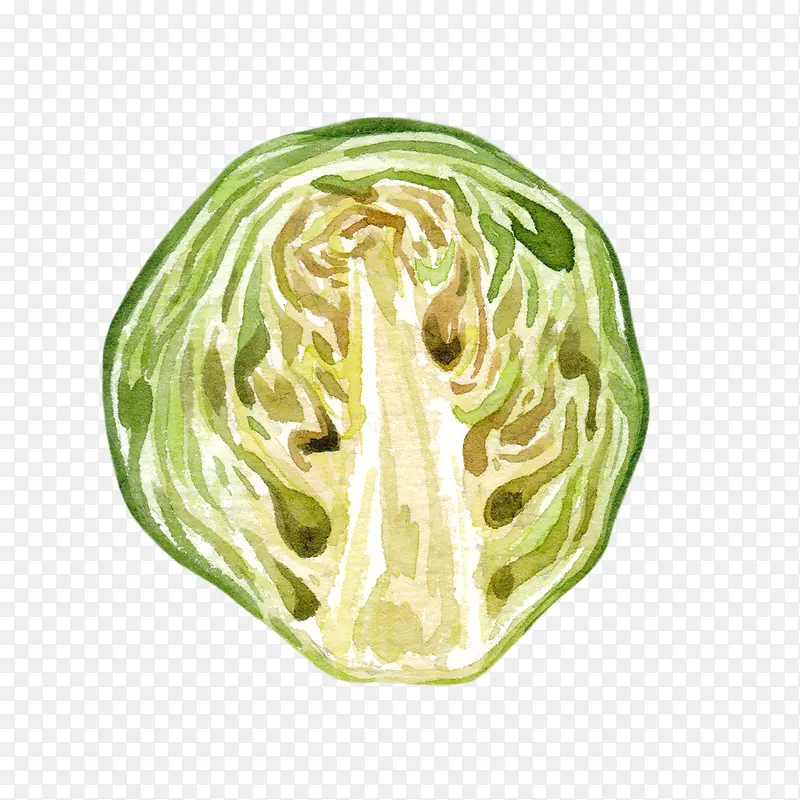 ˮ�ʰ�����Ĳ�-������