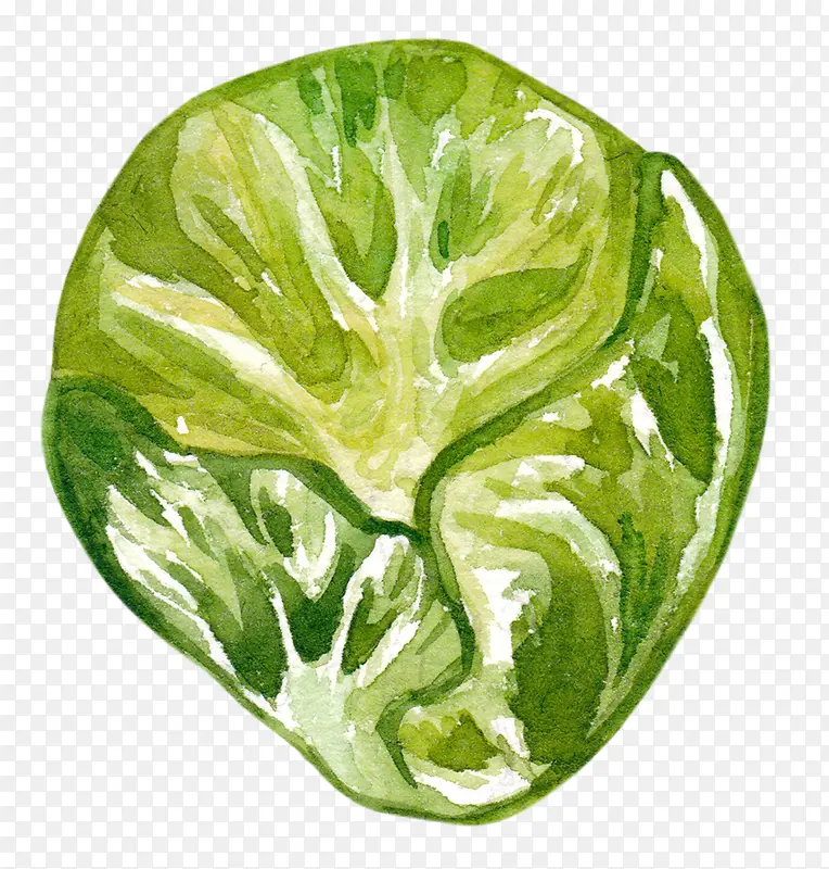 �ʻ��л��߲˾��Ĳ�-������