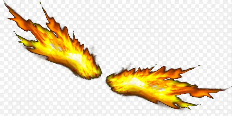 ȼ�յĳ��-������